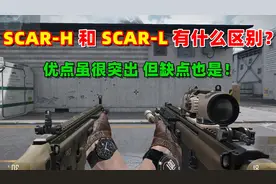 【CFHD趣味实验】SCAR-H 和 L 有什么区别？重型版丨轻型版