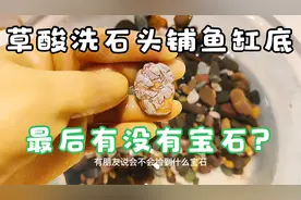 捡来的小石头做鱼缸铺底，草酸洗洗，最后这个是不是宝石？视频封面