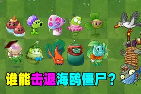 测评：谁能击退海鸥僵尸？