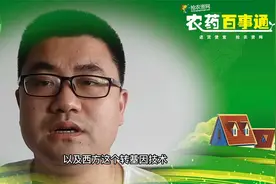 关于大豆有多少知识？什么是春大豆夏大豆，一起听听吧