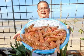 海捕大虾中的极品“红鬼虾”，1400买了10斤，秘制芥末大虾吃过瘾