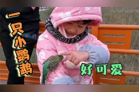 在手上把玩的小鹦鹉好可爱，孩子们都想去摸一下