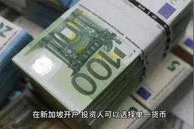 国内怎么开新加坡星展银行账户呢？