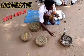 印度驯蛇大师真的能让眼镜蛇与人共舞吗