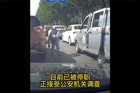 辽宁沈阳一环卫督查车工作人员抡铁棍威胁前车，现已被停职调查。视频封面