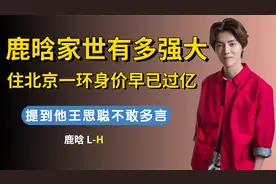 提到他王思聪不敢多言，住北京一环身价早已过亿，鹿晗家世多强大视频封面