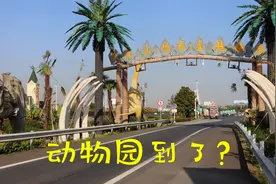 江苏常州，沪蓉高速芳茂山，第一家和动物合作的服务区视频封面