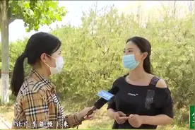 后怕！新车刚买仨月，驾驶中突然刹车失灵出事故，车主想退车遭拒