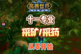 巫妖王十一专业从零开始之采矿采药视频封面