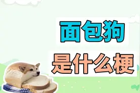 面包狗是什么梗？测试一下，你是不是捡来的