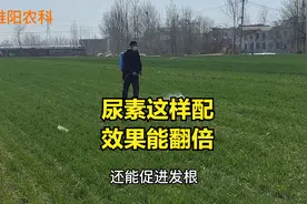 尿素这5个黄金配方，杀虫除草又增产，效果能翻倍视频封面