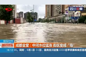 成都金堂：暴雨致中河水位猛涨 部分道路积水严重 街区变成“岛”视频封面