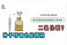 长知识了，种子呼吸也能释放出二氧化碳吗？怎样才能验证呢？视频封面