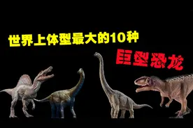 有史以来体型最大的10种恐龙，霸王龙在他们面前连号都排不上！视频封面