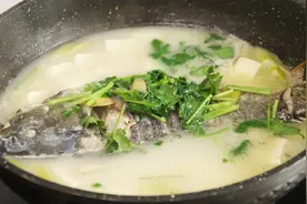 炖鱼汤时，是用凉水还是热水？这一步太重要了，难怪鱼汤不浓不白