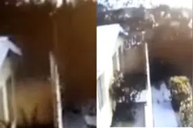 墨西哥鸟群瞬间坠地死亡，犹如“黑雾”笼罩房屋，场面诡异惊人