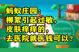 柳絮引起过敏，皮肤痒痒的，去医院就医前可以？蚂蚁庄园答案