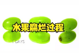 各种蔬果腐烂过程延时摄影，哪个最倔强？看看坚持200多天