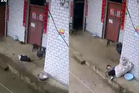 单亲妈妈因疫情被困上海，留守孩子雨天屋外席地而睡，看监控心碎视频封面