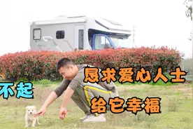 40天小狗对不起，我们没能力给你幸福！分享房车进藏捡狗后续