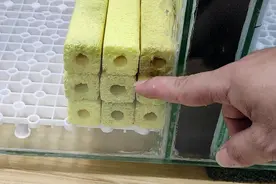 鱼缸过滤材料怎么摆放？这样摆放更高效合理，水质自然清澈见底