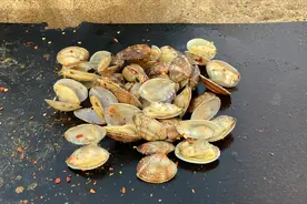 邵子爱吃嘎嘣脆的花蛤，头一次听说，烤熟了不张口是因为这！