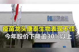 疫苗企业长期看好，康泰生物，未来的潜力在这些地方视频封面