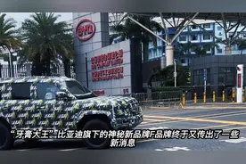 比亚迪F品牌logo曝光，“方程豹”可能又是个烟雾弹