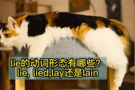 lie的过去式和过去分词视频封面