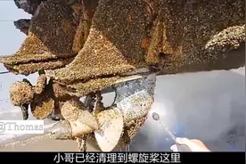 船底藤壶清理，全程超解压，强迫症的福音视频封面