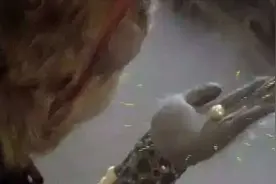 古墓曾出土“仙丹”，正是秦始皇苦寻的长生不老药，专家：它有毒