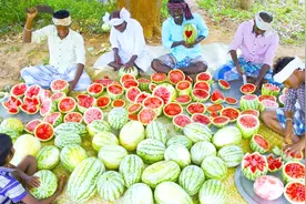 印度乡下大户是怎样吃西瓜的，这吃法让人有点不可思议视频封面