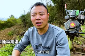 家里要种高粱，阿泰用旋耕机半天耕地6亩，干农活也是一把好手视频封面