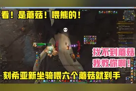 喂暗殴的美味蘑菇刷在哪，刻希亚找不到蘑菇？手把手教你采蘑菇