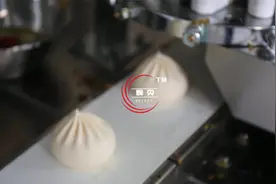 美女老板娘使用全自动包子机开包子店，一年盈利远超老公视频封面