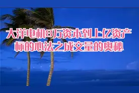大洋电机8万资本到上亿资产标的心法之成交量的奥秘视频封面