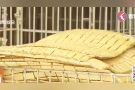 先睹为快！夏季凉席怎么挑？这几款凉席中总有一款适合你！视频封面