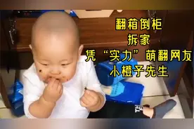 小橙子先生，两岁萌娃凭“拆家”走红，宝爸无心之举成就财富密码
