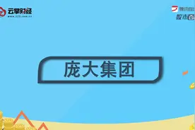 庞大集团[601258]视频封面