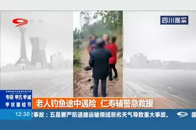 老人钓鱼途中遇险，不慎掉入路边的鱼塘，人寿辅警急救援！视频封面