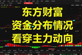东方财富，资金分布情况，看穿主力动向