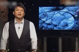 发现：原来真的有龙存在，村民见到的龙鳞，专家走近一看当场懵了