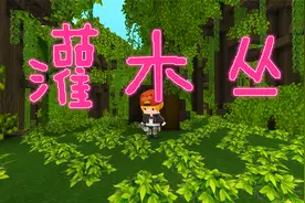 迷你世界：灌木丛生长在雨林当中，如果我们站在上面就会持续受伤