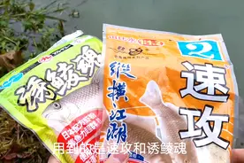 诱鲮魂配速攻，钓土鲮好使不？不返水，香味浓，状态不错。