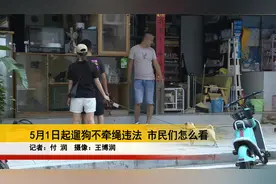 5月1日起遛狗不牵绳违法 市民们怎么看