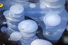 漠河冰封湖面出现冰泡奇观！不仅美到窒息，还能点燃|新闻大求真视频封面
