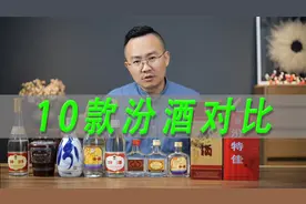 十几元到几百元的10款汾酒对比，出口汾玻汾老白汾青花20杏花村酒视频封面