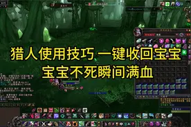 魔兽世界TBC 猎人使用技巧 一键收回宝宝 宝宝不死