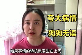 太离谱了，带狗狗去宠物医院竟然也能遭遇过度治疗，人傻钱多速来视频封面