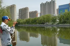 霏奢曼-济南小清河连续垂钓21天第2天，小清河段哪里适合打路亚